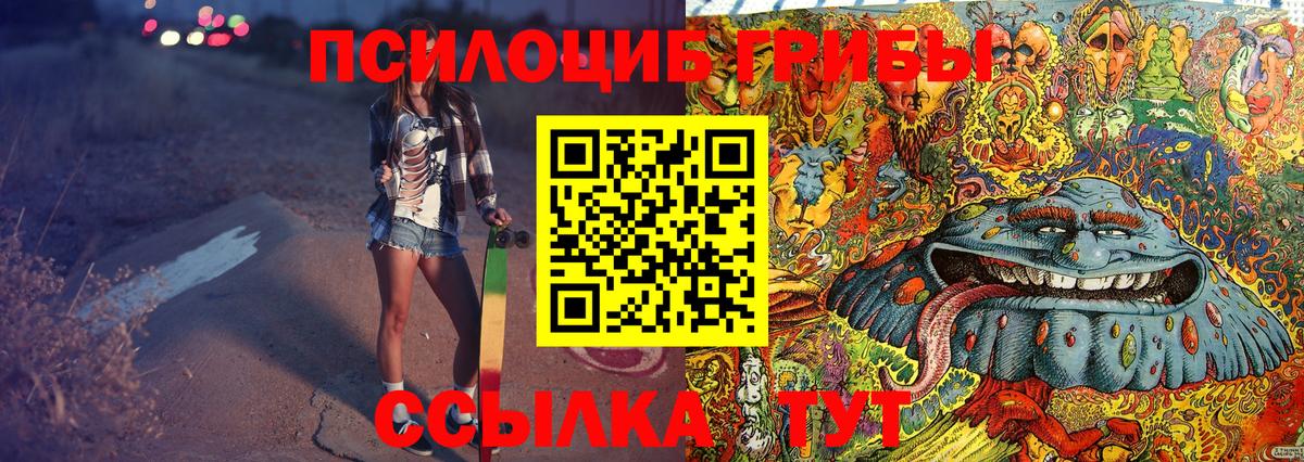 Мценск  Псилоцибиновые грибы Psilocybine cubensis  Вход с VPN 