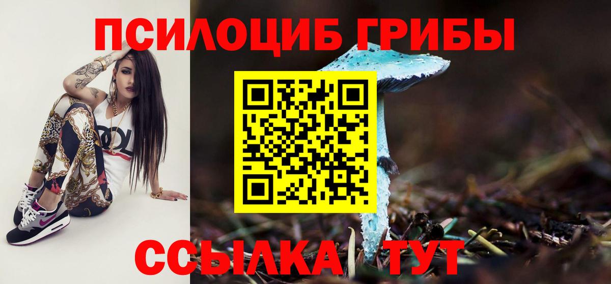 Псилоцибиновые грибы мицелий Мценск